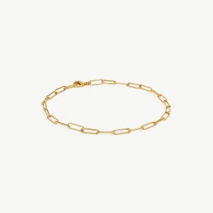 Mini Ellipse Link Anklet